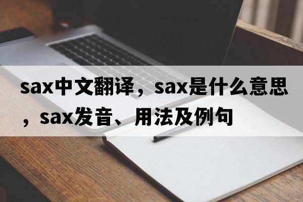 sax中文翻譯，sax是什么意思，sax發(fā)音、用法及例句