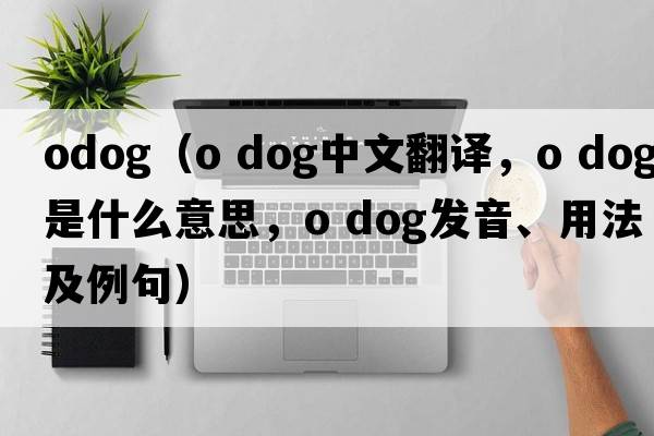 odog（o dog中文翻譯，o dog是什么意思，o dog發(fā)音、用法及例句）