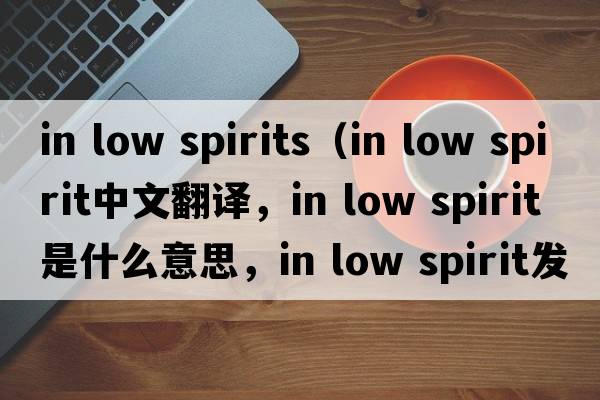 in low spirits（in low spirit中文翻譯，in low spirit是什么意思，in low spirit發(fā)音、用法及例句）