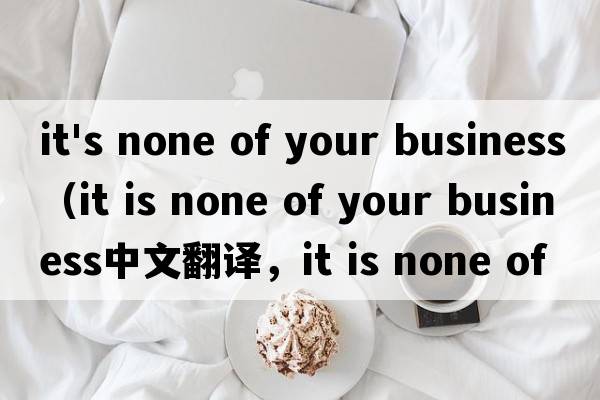 it's none of your business（it is none of your business中文翻譯，it is none of your business是什么意思，it