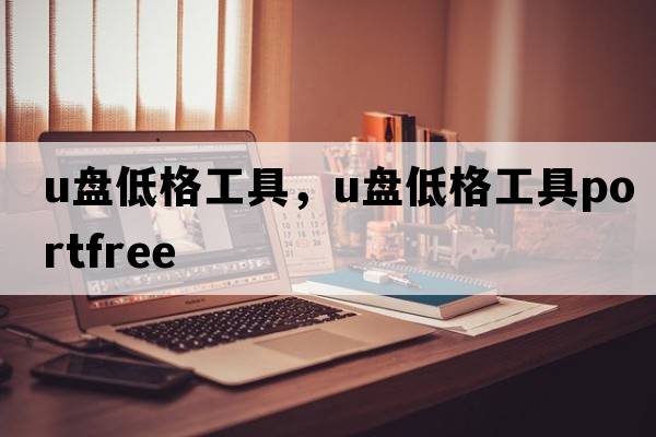 u盤(pán)低格工具，u盤(pán)低格工具PortFree