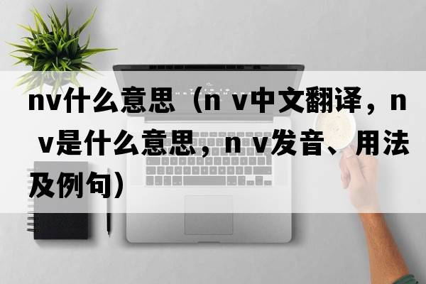 nv什么意思（n v中文翻譯，n v是什么意思，n v發(fā)音、用法及例句）