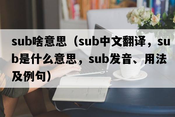 sub啥意思（sub中文翻譯，sub是什么意思，sub發(fā)音、用法及例句）