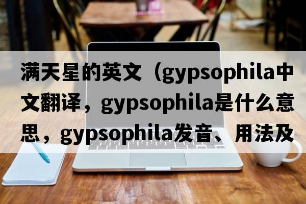 滿(mǎn)天星的英文（gypsophila中文翻譯，gypsophila是什么意思，gypsophila發(fā)音、用法及例句）