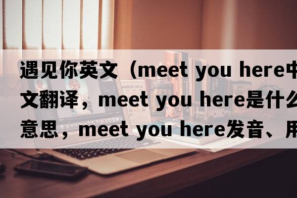 遇見(jiàn)你英文（meet you here中文翻譯，meet you here是什么意思，meet you here發(fā)音、用法及例句）