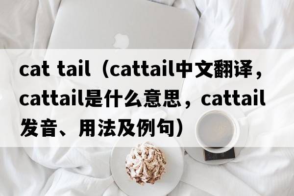 cat tail（cattail中文翻譯，cattail是什么意思，cattail發(fā)音、用法及例句）