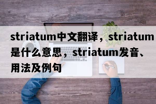 striatum中文翻譯，striatum是什么意思，striatum發(fā)音、用法及例句