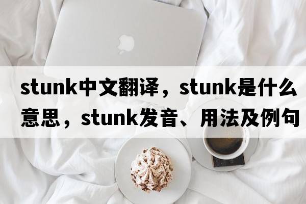 stunk中文翻譯，stunk是什么意思，stunk發(fā)音、用法及例句