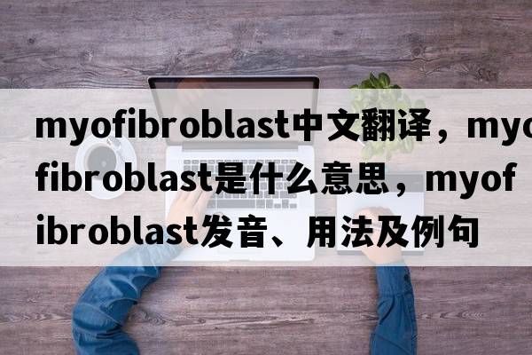 myofibroblast中文翻譯，myofibroblast是什么意思，myofibroblast發(fā)音、用法及例句