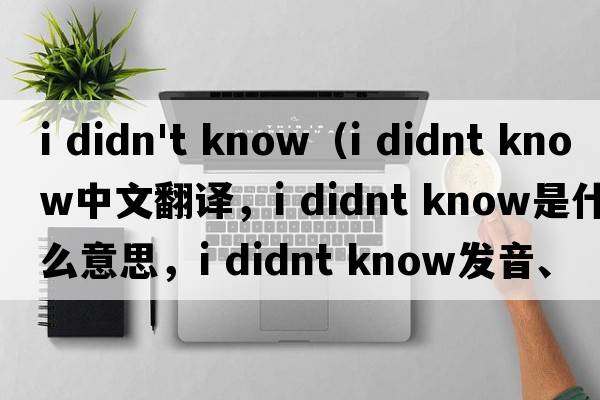 i didn't know（i didnt know中文翻譯，i didnt know是什么意思，i didnt know發(fā)音、用法及例句）