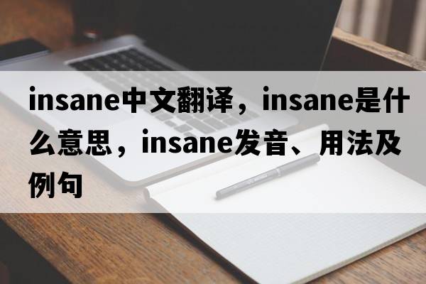 insane中文翻譯，insane是什么意思，insane發(fā)音、用法及例句
