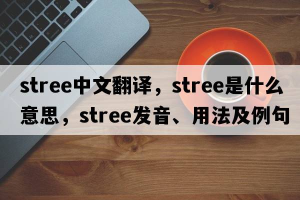 stree中文翻譯，stree是什么意思，stree發(fā)音、用法及例句