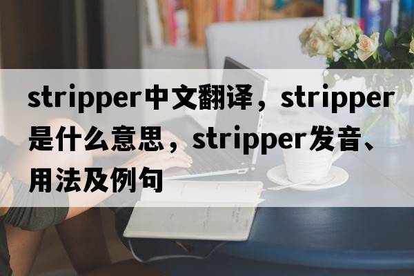 stripper中文翻譯，stripper是什么意思，stripper發(fā)音、用法及例句