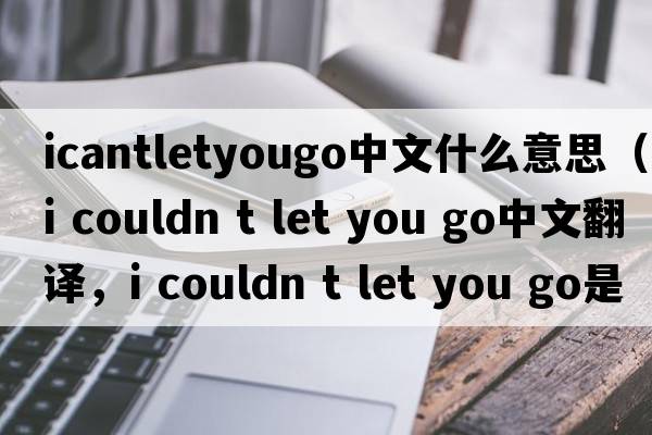 icantletyougo中文什么意思（i couldn t let you go中文翻譯，i couldn t let you go是什么意思，i couldn t let you go發(fā)音、用法及