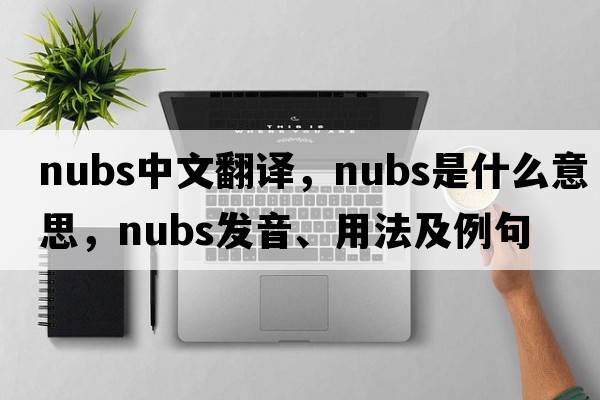 nubs中文翻譯，nubs是什么意思，nubs發(fā)音、用法及例句