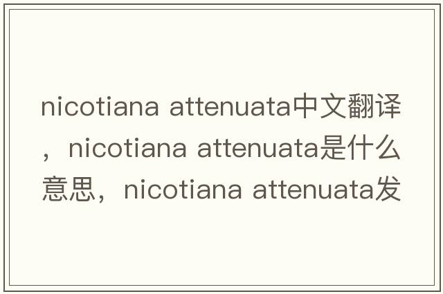 nicotiana attenuata中文翻譯，nicotiana attenuata是什么意思，nicotiana attenuata發(fā)音、用法及例句