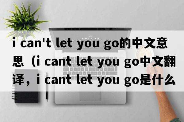 i can't let you go的中文意思（i cant let you go中文翻譯，i cant let you go是什么意思，i cant let you go發(fā)音、用法及例句）