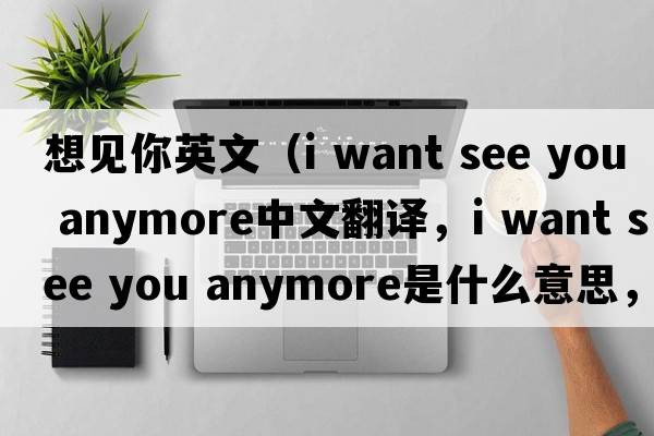 想見(jiàn)你英文（i want see you anymore中文翻譯，i want see you anymore是什么意思，i want see you anymore發(fā)音、用法及例句）