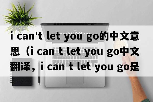 i can't let you go的中文意思（i can t let you go中文翻譯，i can t let you go是什么意思，i can t let you go發(fā)音、用法及
