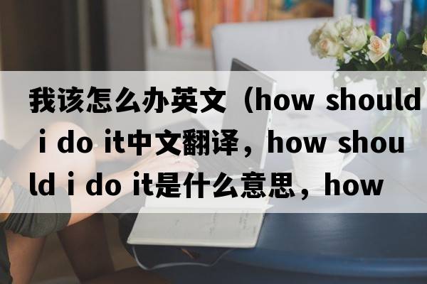 我該怎么辦英文（how should i do it中文翻譯，how should i do it是什么意思，how should i do it發(fā)音、用法及例句）