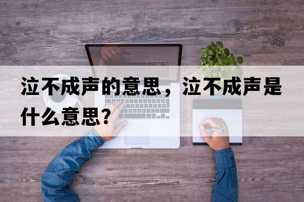 泣不成聲的意思，泣不成聲是什么意思？