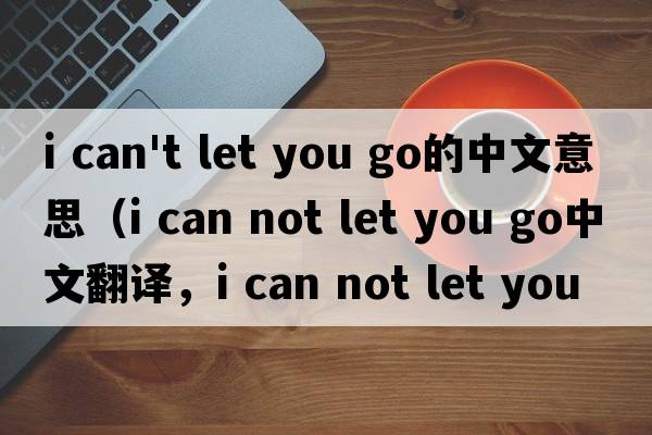 i can't let you go的中文意思（i can not let you go中文翻譯，i can not let you go是什么意思，i can not let you go