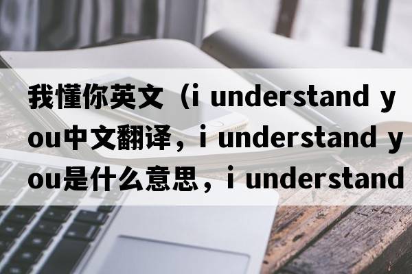 我懂你英文（i understand you中文翻譯，i understand you是什么意思，i understand you發(fā)音、用法及例句）