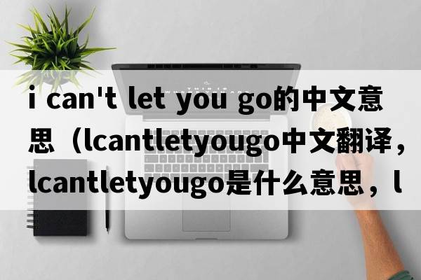 i can't let you go的中文意思（lcantletyougo中文翻譯，lcantletyougo是什么意思，lcantletyougo發(fā)音、用法及例句）