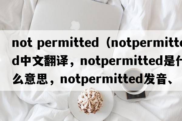 not permitted（notpermitted中文翻譯，notpermitted是什么意思，notpermitted發(fā)音、用法及例句）