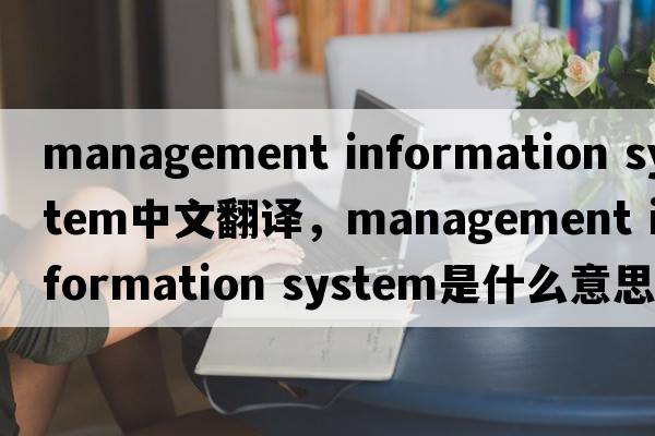 management information system中文翻譯，management information system是什么意思，management information system發(fā)音