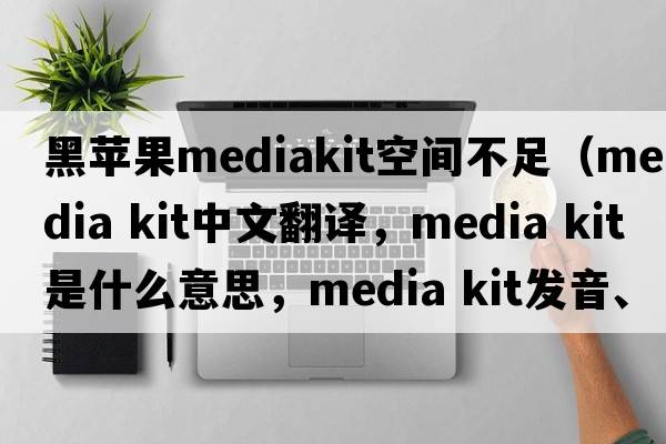黑蘋(píng)果mediakit空間不足（media kit中文翻譯，media kit是什么意思，media kit發(fā)音、用法及例句）