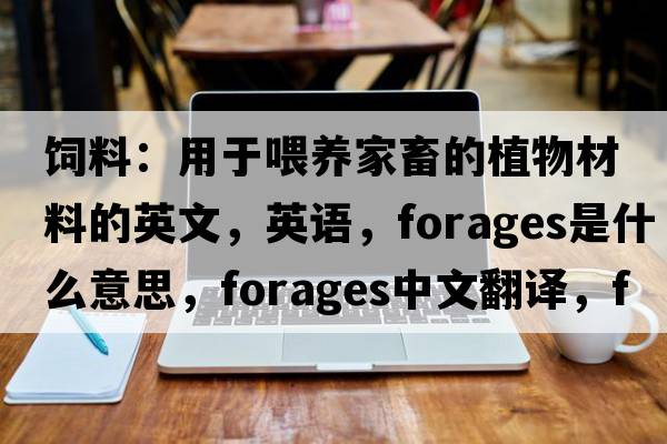 飼料：用于喂養家畜的植物材料的英文，英語(yǔ)，forages是什么意思，forages中文翻譯，forages怎么讀、發(fā)音、用法及例句