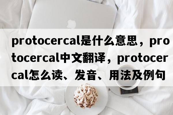 protocercal是什么意思，protocercal中文翻譯，protocercal怎么讀、發(fā)音、用法及例句