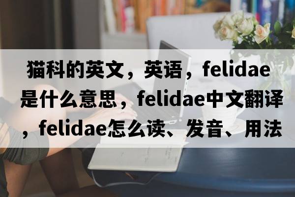  貓科的英文，英語(yǔ)，Felidae是什么意思，Felidae中文翻譯，Felidae怎么讀、發(fā)音、用法及例句