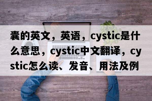 囊的英文，英語(yǔ)，cystic是什么意思，cystic中文翻譯，cystic怎么讀、發(fā)音、用法及例句