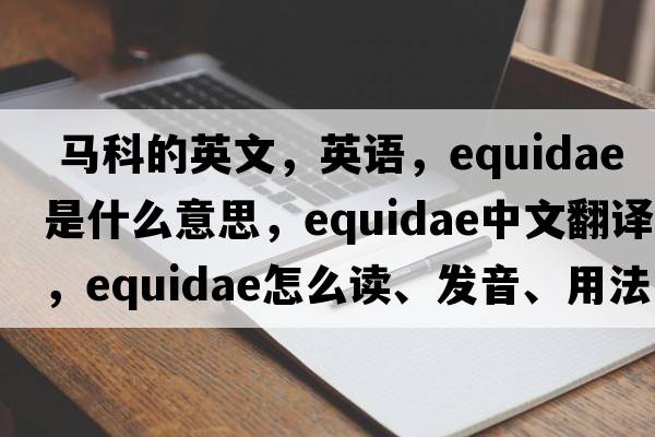  馬科的英文，英語(yǔ)，Equidae是什么意思，Equidae中文翻譯，Equidae怎么讀、發(fā)音、用法及例句