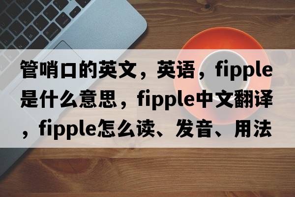 管哨口的英文，英語(yǔ)，fipple是什么意思，fipple中文翻譯，fipple怎么讀、發(fā)音、用法及例句