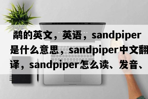  鷸的英文，英語(yǔ)，sandpiper是什么意思，sandpiper中文翻譯，sandpiper怎么讀、發(fā)音、用法及例句