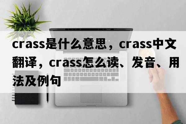 crass是什么意思，crass中文翻譯，crass怎么讀、發(fā)音、用法及例句
