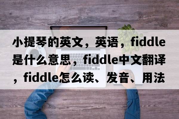 小提琴的英文，英語(yǔ)，fiddle是什么意思，fiddle中文翻譯，fiddle怎么讀、發(fā)音、用法及例句