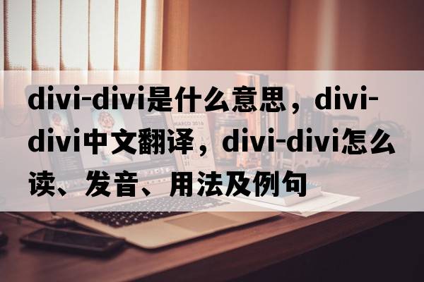 divi-divi是什么意思，divi-divi中文翻譯，divi-divi怎么讀、發(fā)音、用法及例句