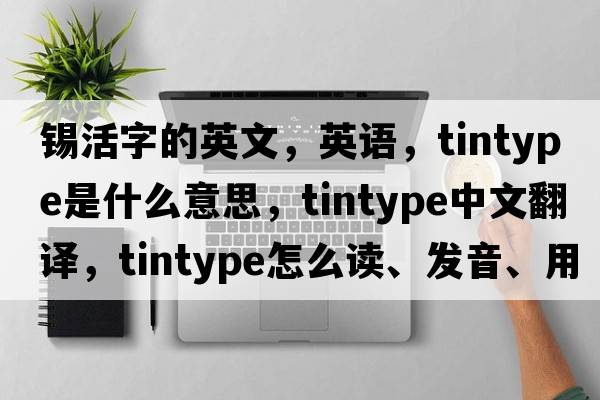 錫活字的英文，英語(yǔ)，tintype是什么意思，tintype中文翻譯，tintype怎么讀、發(fā)音、用法及例句