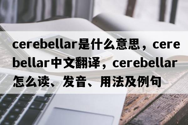 cerebellar是什么意思，cerebellar中文翻譯，cerebellar怎么讀、發(fā)音、用法及例句
