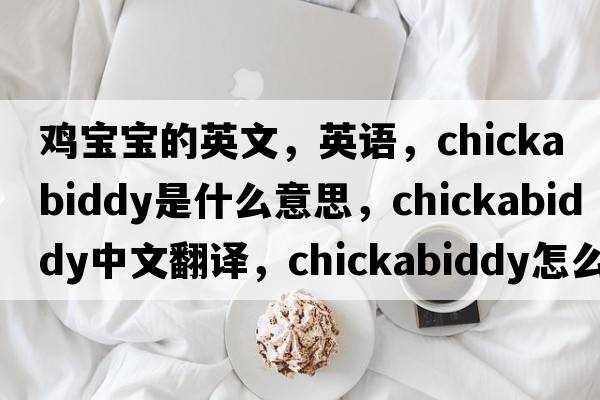 雞寶寶的英文，英語(yǔ)，chickabiddy是什么意思，chickabiddy中文翻譯，chickabiddy怎么讀、發(fā)音、用法及例句