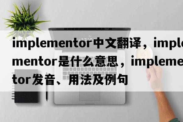 implementor中文翻譯，implementor是什么意思，implementor發(fā)音、用法及例句