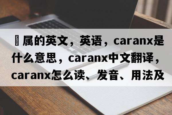鲹屬的英文，英語(yǔ)，Caranx是什么意思，Caranx中文翻譯，Caranx怎么讀、發(fā)音、用法及例句