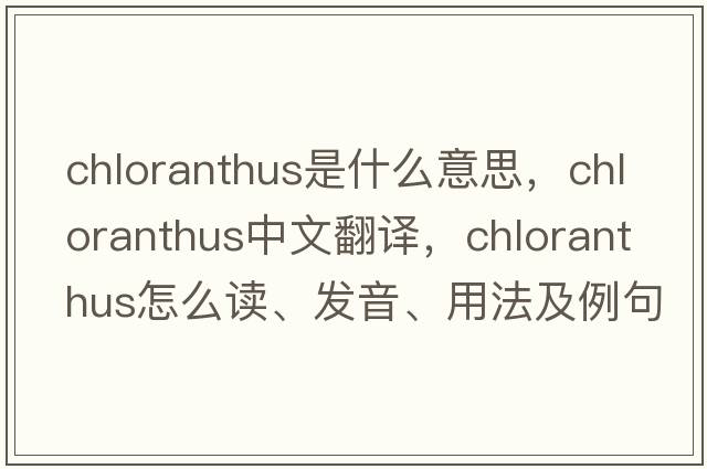 chloranthus是什么意思，chloranthus中文翻譯，chloranthus怎么讀、發(fā)音、用法及例句