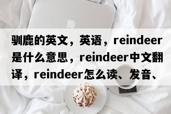馴鹿的英文，英語(yǔ)，reindeer是什么意思，reindeer中文翻譯，reindeer怎么讀、發(fā)音、用法及例句
