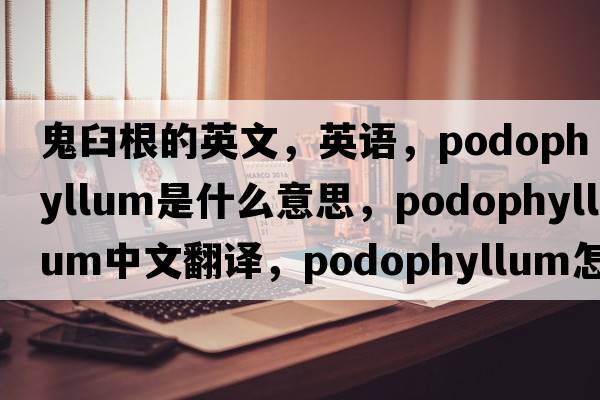 鬼臼根的英文，英語(yǔ)，podophyllum是什么意思，podophyllum中文翻譯，podophyllum怎么讀、發(fā)音、用法及例句