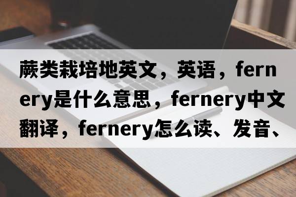 蕨類(lèi)栽培地英文，英語(yǔ)，fernery是什么意思，fernery中文翻譯，fernery怎么讀、發(fā)音、用法及例句